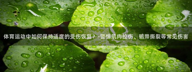 哈哈体育：体育运动中如何保持适度的受伤恢复？-警惕肌肉拉伤、韧带撕裂等常见伤害