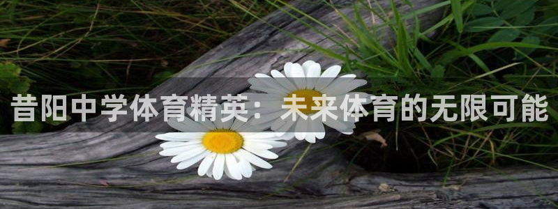 哈哈体育十年：昔阳中学体育精英：未来体育的无限可能