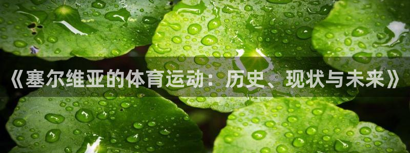 哈哈体育下载：《塞尔维亚的体育运动：历史、现状与未来》