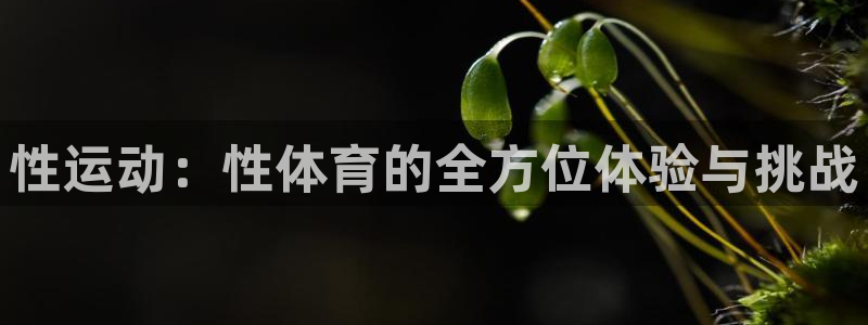 哈哈体育十年